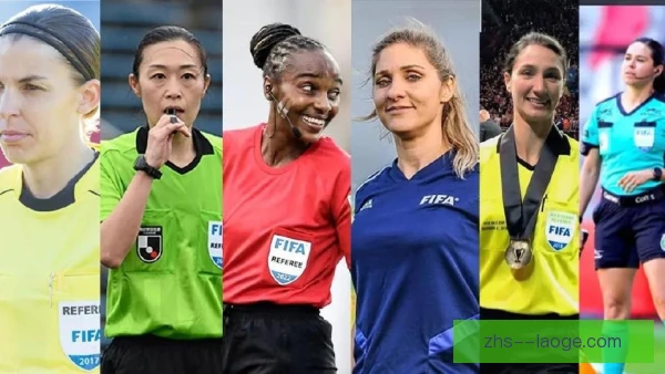 世界女排大奖赛裁判培训体系，执裁标准与考核揭秘